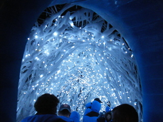 Filename=DSCF6381.JPG
Filesize=3271KiB
Dimensions=3264x2448
Date added=Sep 28, 2019 DSCF6381.JPG