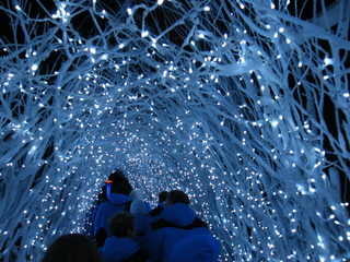 Filename=DSCF6383.JPG
Filesize=3521KiB
Dimensions=3264x2448
Date added=Sep 28, 2019 DSCF6383.JPG