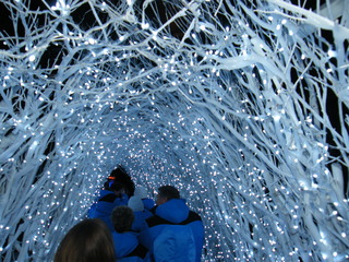 Filename=DSCF6384.JPG
Filesize=3074KiB
Dimensions=3264x2448
Date added=Sep 28, 2019 DSCF6384.JPG