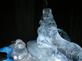 Filename=DSCF6396.JPG
Filesize=3142KiB
Dimensions=3264x2448
Date added=Sep 28, 2019 DSCF6396.JPG