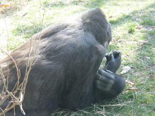 Filename=DSCF6450.JPG
Filesize=3155KiB
Dimensions=3264x2448
Date added=Sep 28, 2019 DSCF6450.JPG