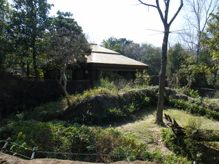 Filename=DSCF6452.JPG
Filesize=3085KiB
Dimensions=3264x2448
Date added=Sep 28, 2019 DSCF6452.JPG