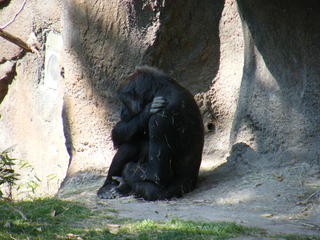 Filename=DSCF6454.JPG
Filesize=3310KiB
Dimensions=3264x2448
Date added=Sep 28, 2019 DSCF6454.JPG