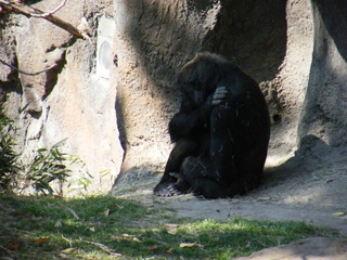 Filename=DSCF6455.JPG
Filesize=3204KiB
Dimensions=3264x2448
Date added=Sep 28, 2019 DSCF6455.JPG