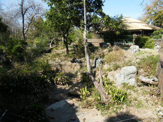 Filename=DSCF6463.JPG
Filesize=3148KiB
Dimensions=3264x2448
Date added=Sep 28, 2019 DSCF6463.JPG