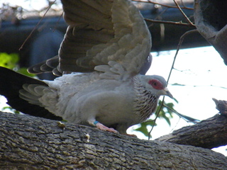 Filename=DSCF6464.JPG
Filesize=2903KiB
Dimensions=3264x2448
Date added=Sep 28, 2019 DSCF6464.JPG