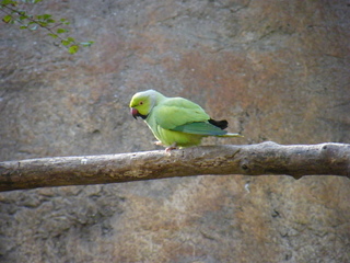 Filename=DSCF6470.JPG
Filesize=3081KiB
Dimensions=3264x2448
Date added=Sep 28, 2019 DSCF6470.JPG