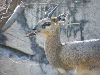 Filename=DSCF6514.JPG
Filesize=3113KiB
Dimensions=3264x2448
Date added=Sep 28, 2019 DSCF6514.JPG