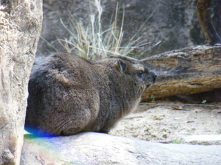 Filename=DSCF6520.JPG
Filesize=3051KiB
Dimensions=3264x2448
Date added=Sep 28, 2019 DSCF6520.JPG