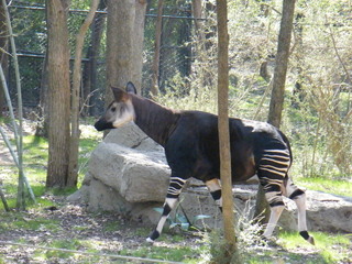 Filename=DSCF6535.JPG
Filesize=3114KiB
Dimensions=3264x2448
Date added=Sep 28, 2019 DSCF6535.JPG