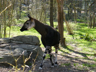 Filename=DSCF6538.JPG
Filesize=3291KiB
Dimensions=3264x2448
Date added=Sep 28, 2019 DSCF6538.JPG