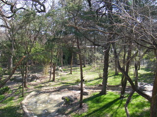 Filename=DSCF6543.JPG
Filesize=3300KiB
Dimensions=3264x2448
Date added=Sep 28, 2019 DSCF6543.JPG