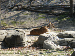 Filename=DSCF6553.JPG
Filesize=3005KiB
Dimensions=3264x2448
Date added=Sep 28, 2019 DSCF6553.JPG