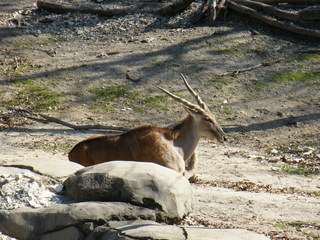 Filename=DSCF6554.JPG
Filesize=3165KiB
Dimensions=3264x2448
Date added=Sep 28, 2019 DSCF6554.JPG