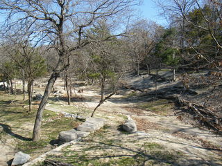 Filename=DSCF6556.JPG
Filesize=3218KiB
Dimensions=3264x2448
Date added=Sep 28, 2019 DSCF6556.JPG