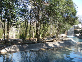 Filename=DSCF6563.JPG
Filesize=3248KiB
Dimensions=3264x2448
Date added=Sep 28, 2019 DSCF6563.JPG