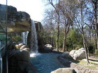 Filename=DSCF6565.JPG
Filesize=3125KiB
Dimensions=3264x2448
Date added=Sep 28, 2019 DSCF6565.JPG