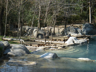 Filename=DSCF6567.JPG
Filesize=3117KiB
Dimensions=3264x2448
Date added=Sep 28, 2019 DSCF6567.JPG