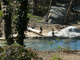 Filename=DSCF6569.JPG
Filesize=2991KiB
Dimensions=3264x2448
Date added=Sep 28, 2019 DSCF6569.JPG