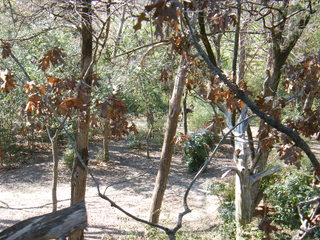 Filename=DSCF6572.JPG
Filesize=3325KiB
Dimensions=3264x2448
Date added=Sep 28, 2019 DSCF6572.JPG