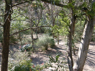 Filename=DSCF6573.JPG
Filesize=3231KiB
Dimensions=3264x2448
Date added=Sep 28, 2019 DSCF6573.JPG