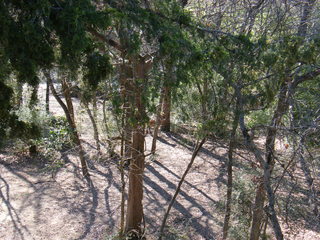 Filename=DSCF6575.JPG
Filesize=3301KiB
Dimensions=3264x2448
Date added=Sep 28, 2019 DSCF6575.JPG