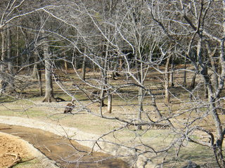 Filename=DSCF6601.JPG
Filesize=3062KiB
Dimensions=3264x2448
Date added=Sep 28, 2019 DSCF6601.JPG