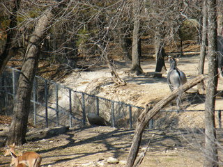 Filename=DSCF6603.JPG
Filesize=3162KiB
Dimensions=3264x2448
Date added=Sep 28, 2019 DSCF6603.JPG