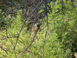 Filename=DSCF6610.JPG
Filesize=3085KiB
Dimensions=3264x2448
Date added=Sep 28, 2019 DSCF6610.JPG