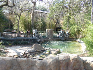 Filename=DSCF6612.JPG
Filesize=3167KiB
Dimensions=3264x2448
Date added=Sep 28, 2019 DSCF6612.JPG