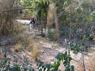 Filename=DSCF6614.JPG
Filesize=3325KiB
Dimensions=3264x2448
Date added=Sep 28, 2019 DSCF6614.JPG