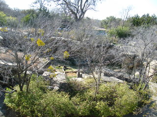 Filename=DSCF6616.JPG
Filesize=3372KiB
Dimensions=3264x2448
Date added=Sep 28, 2019 DSCF6616.JPG