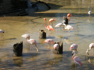 Filename=DSCF6627.JPG
Filesize=2909KiB
Dimensions=3264x2448
Date added=Sep 28, 2019 DSCF6627.JPG