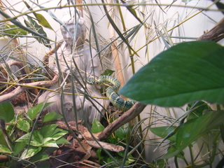 Filename=DSCF6633.JPG
Filesize=3602KiB
Dimensions=3264x2448
Date added=Sep 28, 2019 DSCF6633.JPG