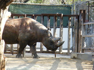 Filename=DSCF6669.JPG
Filesize=3239KiB
Dimensions=3264x2448
Date added=Sep 28, 2019 DSCF6669.JPG