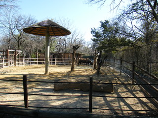 Filename=DSCF6671.JPG
Filesize=3101KiB
Dimensions=3264x2448
Date added=Sep 28, 2019 DSCF6671.JPG