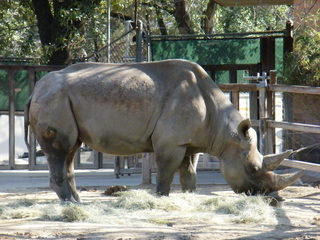 Filename=DSCF6673.JPG
Filesize=3394KiB
Dimensions=3264x2448
Date added=Sep 28, 2019 DSCF6673.JPG