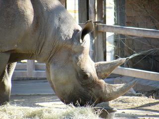 Filename=DSCF6674.JPG
Filesize=3462KiB
Dimensions=3264x2448
Date added=Sep 28, 2019 DSCF6674.JPG