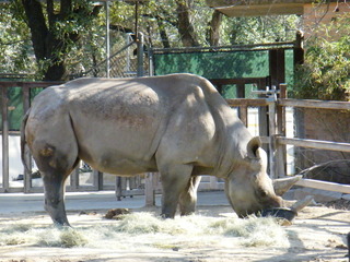 Filename=DSCF6675.JPG
Filesize=2964KiB
Dimensions=3264x2448
Date added=Sep 28, 2019 DSCF6675.JPG