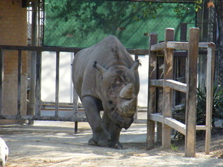 Filename=DSCF6676.JPG
Filesize=3149KiB
Dimensions=3264x2448
Date added=Sep 28, 2019 DSCF6676.JPG