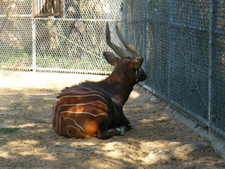 Filename=DSCF6697.JPG
Filesize=3244KiB
Dimensions=3264x2448
Date added=Sep 28, 2019 DSCF6697.JPG