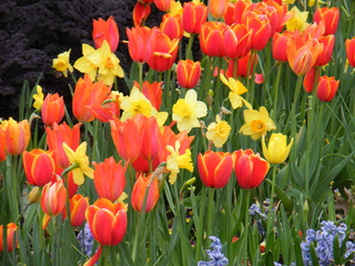 Filename=DSCF6707.JPG
Filesize=3402KiB
Dimensions=3264x2448
Date added=Sep 28, 2019 DSCF6707.JPG