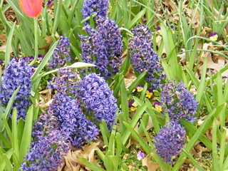 Filename=DSCF6709.JPG
Filesize=3243KiB
Dimensions=3264x2448
Date added=Sep 28, 2019 DSCF6709.JPG