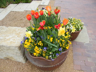 Filename=DSCF6712.JPG
Filesize=3097KiB
Dimensions=3264x2448
Date added=Sep 28, 2019 DSCF6712.JPG