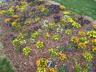 Filename=DSCF6716.JPG
Filesize=3360KiB
Dimensions=3264x2448
Date added=Sep 28, 2019 DSCF6716.JPG