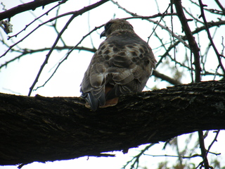 Filename=DSCF6727.JPG
Filesize=2872KiB
Dimensions=3264x2448
Date added=Sep 28, 2019 DSCF6727.JPG