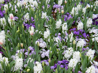 Filename=DSCF6734.JPG
Filesize=3026KiB
Dimensions=3264x2448
Date added=Sep 28, 2019 DSCF6734.JPG