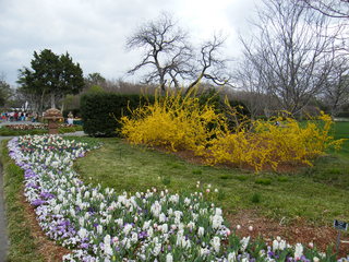 Filename=DSCF6735.JPG
Filesize=3144KiB
Dimensions=3264x2448
Date added=Sep 28, 2019 DSCF6735.JPG