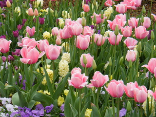 Filename=DSCF6752.JPG
Filesize=3304KiB
Dimensions=3264x2448
Date added=Sep 28, 2019 DSCF6752.JPG