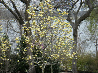 Filename=DSCF6768.JPG
Filesize=3173KiB
Dimensions=3264x2448
Date added=Sep 28, 2019 DSCF6768.JPG